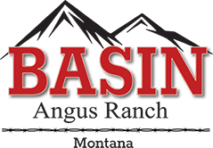 Basin Angus Ranch